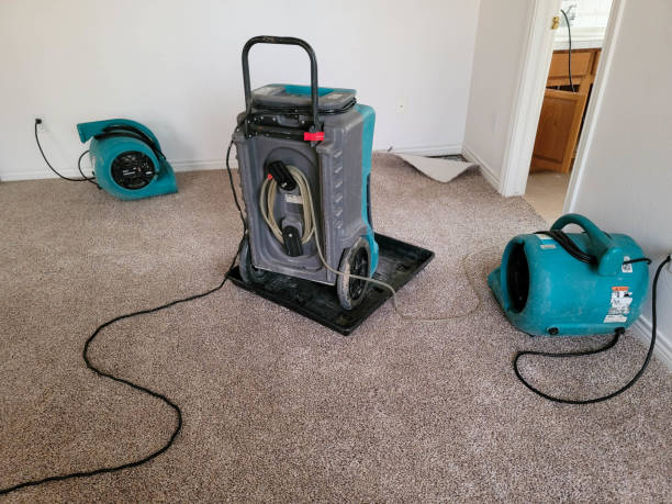 Best Flood damage cleanup  in Merritt Park, NY