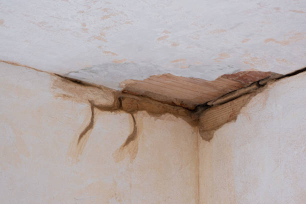 Best Water damage cleanup near me  in Merritt Park, NY