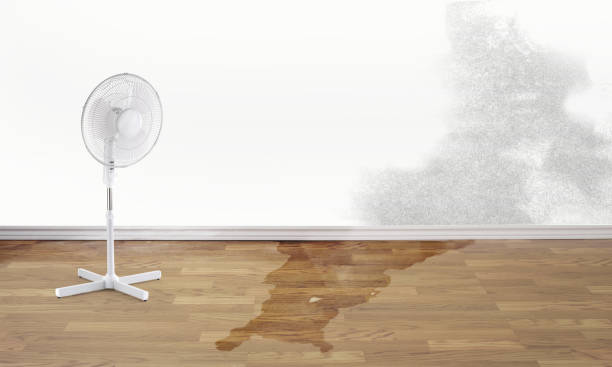 Best Local water damage restoration  in Merritt Park, NY