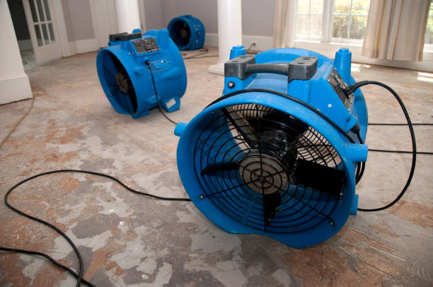 Water damage restoration mold remediation in Merritt Park, NY