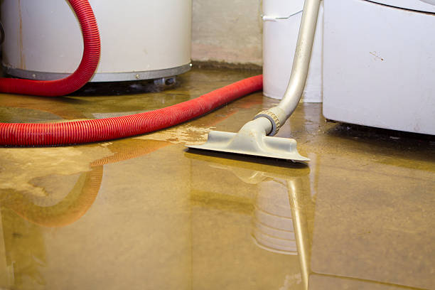 Best Water damage contractors near me  in Merritt Park, NY