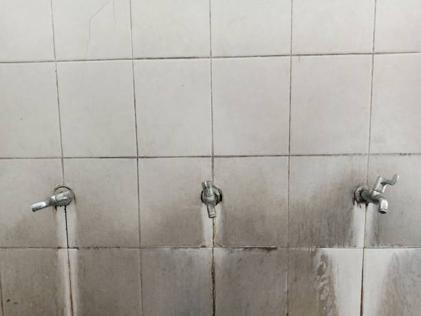 Best Sewage cleanup and water damage restoration  in Merritt Park, NY