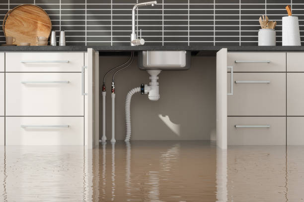 Best Sewage cleanup and water damage restoration  in Merritt Park, NY