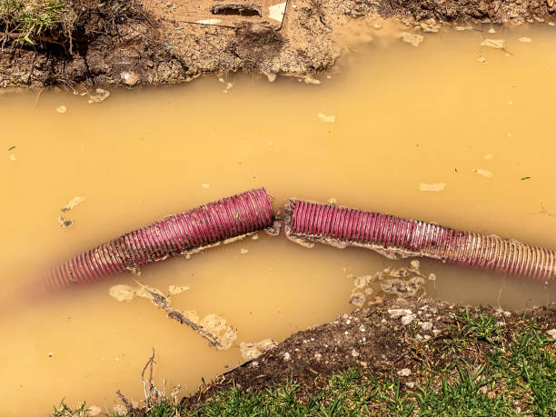 Best Residential water damage restoration  in Merritt Park, NY