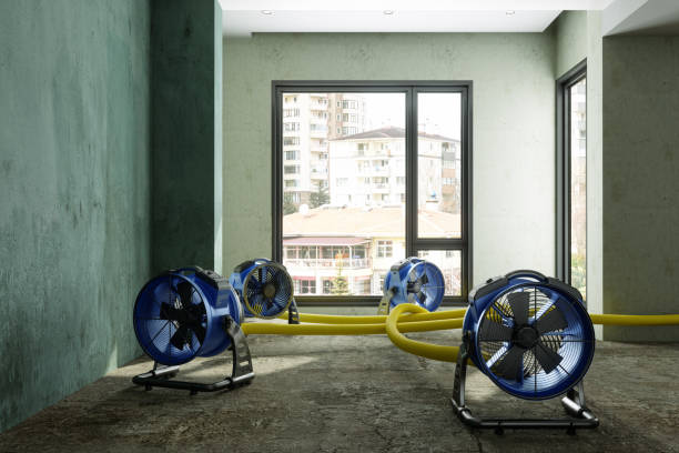 Best Water damage restoration near me  in Merritt Park, NY