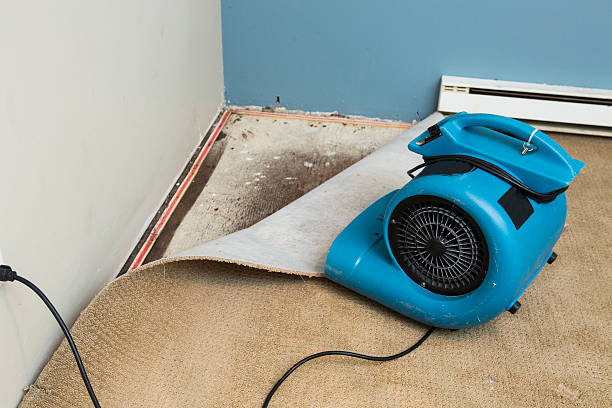 Merritt Park, NY Water damage restoration Company